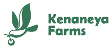 Kenaneya